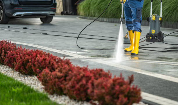 Best Window and Screen Pressure Cleaning in Brookdale, CA